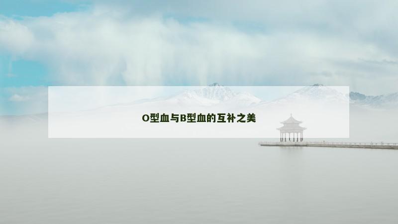 O型血与B型血的互补之美