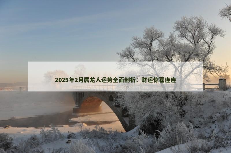 2025年2月属龙人运势全面剖析：财运惊喜连连
