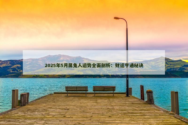 2025年5月属兔人运势全面剖析：财运亨通秘诀