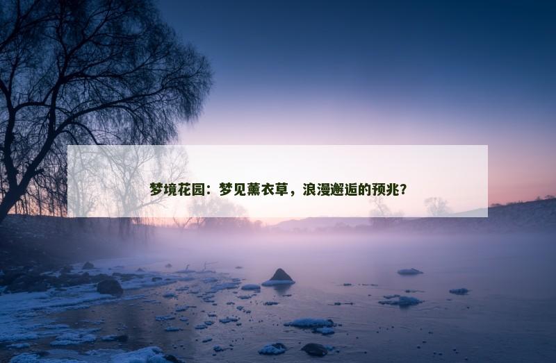 梦境花园:梦见薰衣草,浪漫邂逅的预兆?