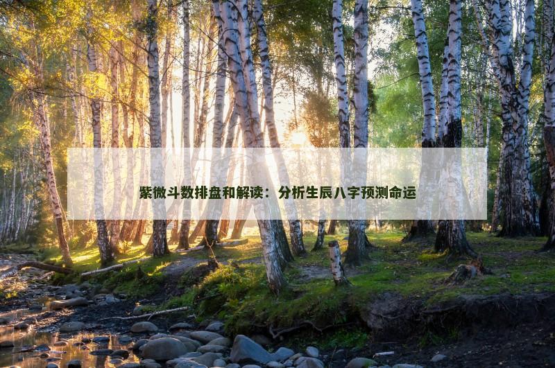 紫微斗数排盘和解读:分析生辰八字预测命运