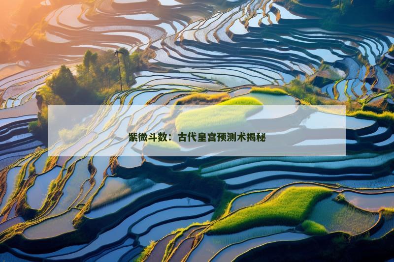 紫微斗数:古代皇宫预测术揭秘