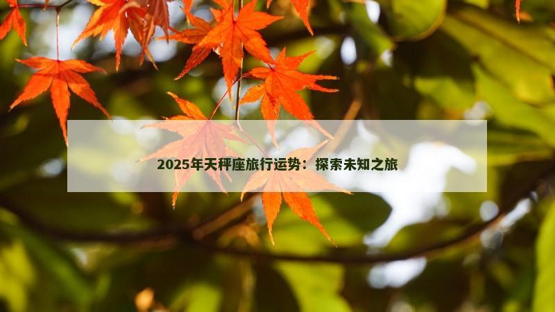 2025年天秤座旅行运势：探索未知之旅