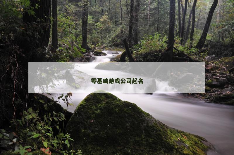 零基础游戏公司起名