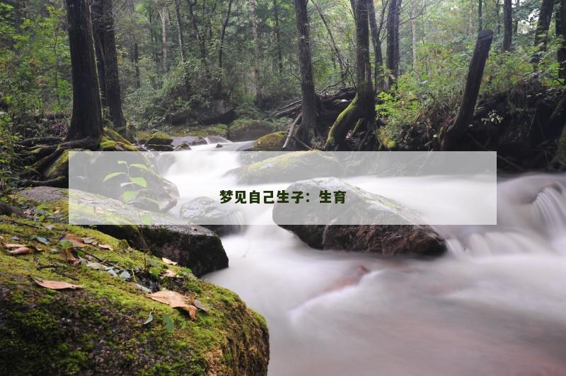 梦见自己生子：生育