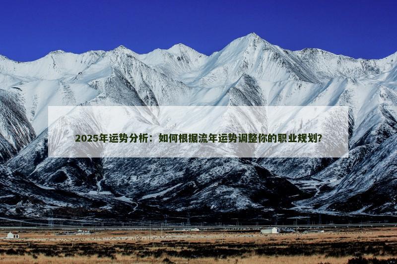 2025年运势分析：如何根据流年运势调整你的职业规划？