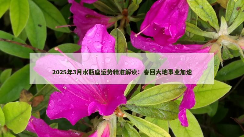 2025年3月水瓶座运势精准解读：春回大地事业加速
