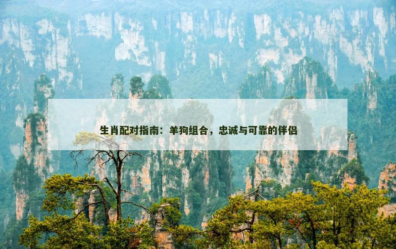 生肖配对指南：羊狗组合，忠诚与可靠的伴侣