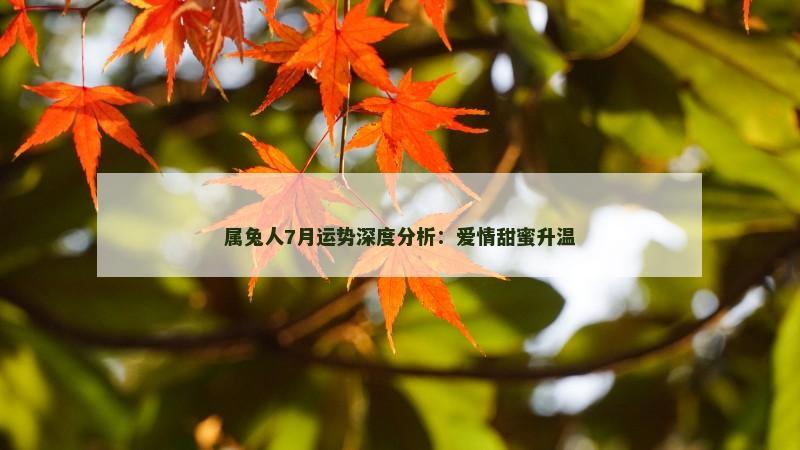 属兔人7月运势深度分析：爱情甜蜜升温