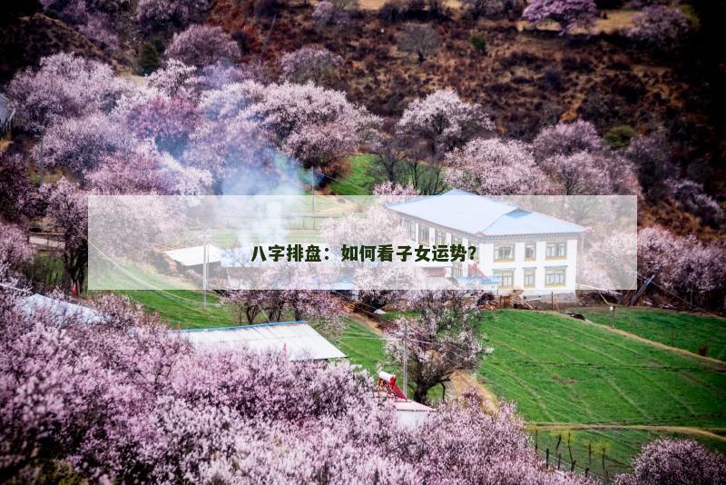 八字排盘:如何看子女运势?